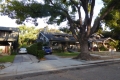 Haus von Biff Tannen (Anschrift: 1809 Bushnell Ave, South Pasadena, CA 91030)
