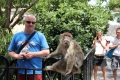 2013 in Gibraltar