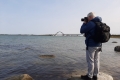 2020 im September vor der Fehmarnsundbrücke
