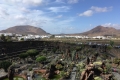 Jardin de Cactus auf Lanzarote (iPhone-Bild)