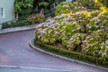 Lombard Street
