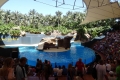 im Loro Parque auf Teneriffa