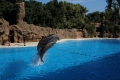 im Loro Parque auf Teneriffa