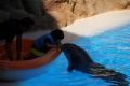 im Loro Parque auf Teneriffa
