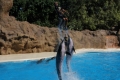 im Loro Parque auf Teneriffa