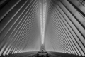 New York City 2019: The Oculus