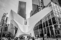 New York City 2019: The Oculus
