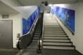 Rolltreppe am Ende des Spielertunnels im Olympiastadion Berlin