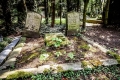 auf dem Melatenfriedhof in Köln