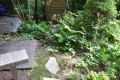 Grab von Helmut Kronsbein auf dem Waldfriedhof Heerstraße in Berlin