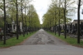 Wiener Zentralfriedhof